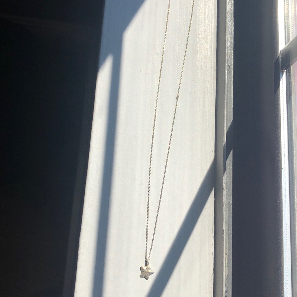 Dogeared star necklace